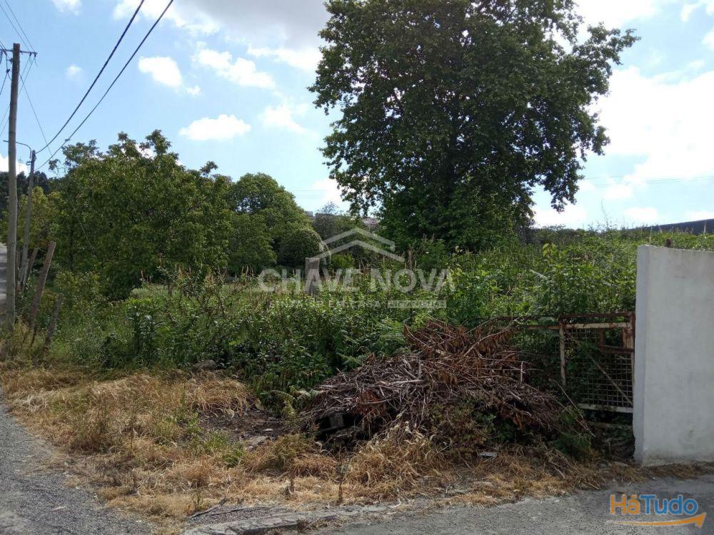 Terreno na zona industrial de Canelas Terreno na zona industrial de Canelas