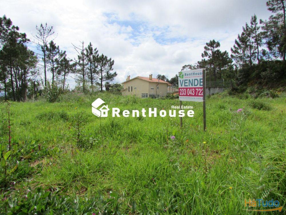 Terreno Industrial Junto à Nacional 109 Terreno Industrial Junto à Nacional 109