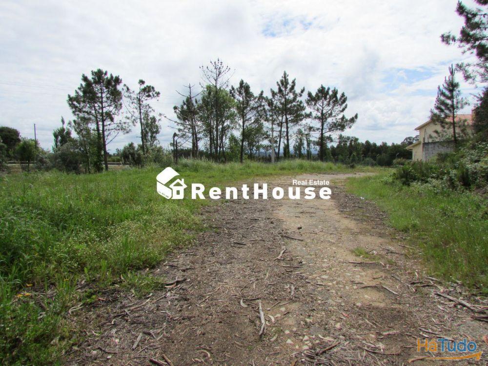 Terreno Industrial Junto à Nacional 109 Terreno Industrial Junto à Nacional 109