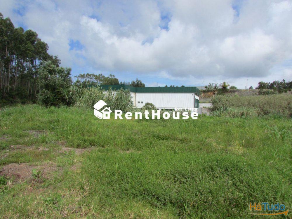 Terreno Industrial Junto à Nacional 109 Terreno Industrial Junto à Nacional 109