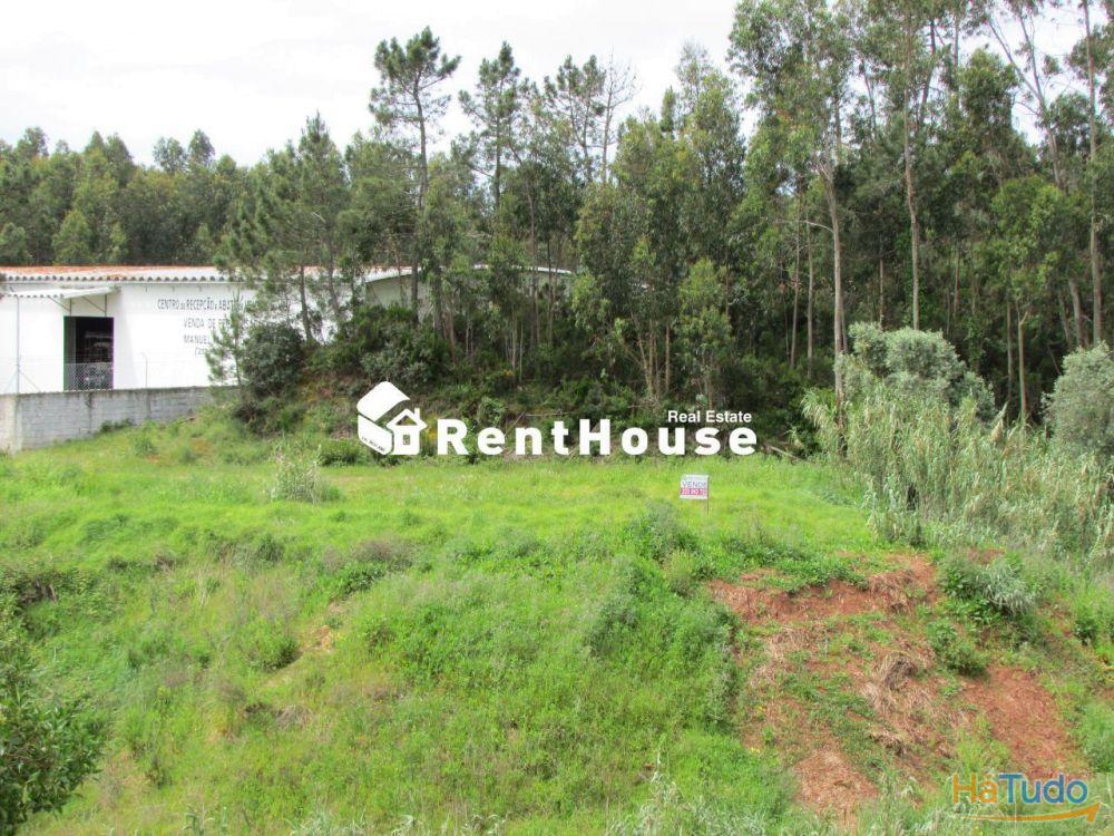 Terreno Industrial Junto à Nacional 109 Terreno Industrial Junto à Nacional 109