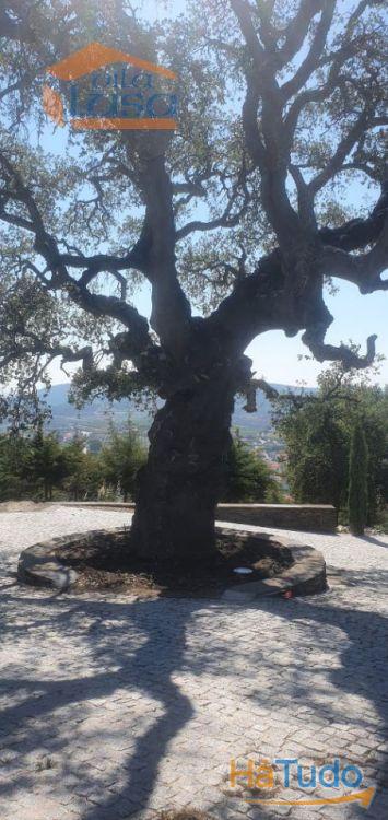 Terreno com paisagem para a Vila Terreno com paisagem para a Vila