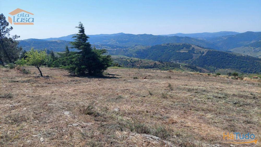 Terreno com paisagem para a Vila Terreno com paisagem para a Vila