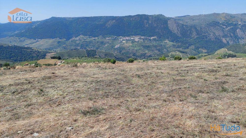 Terreno com paisagem para a Vila Terreno com paisagem para a Vila