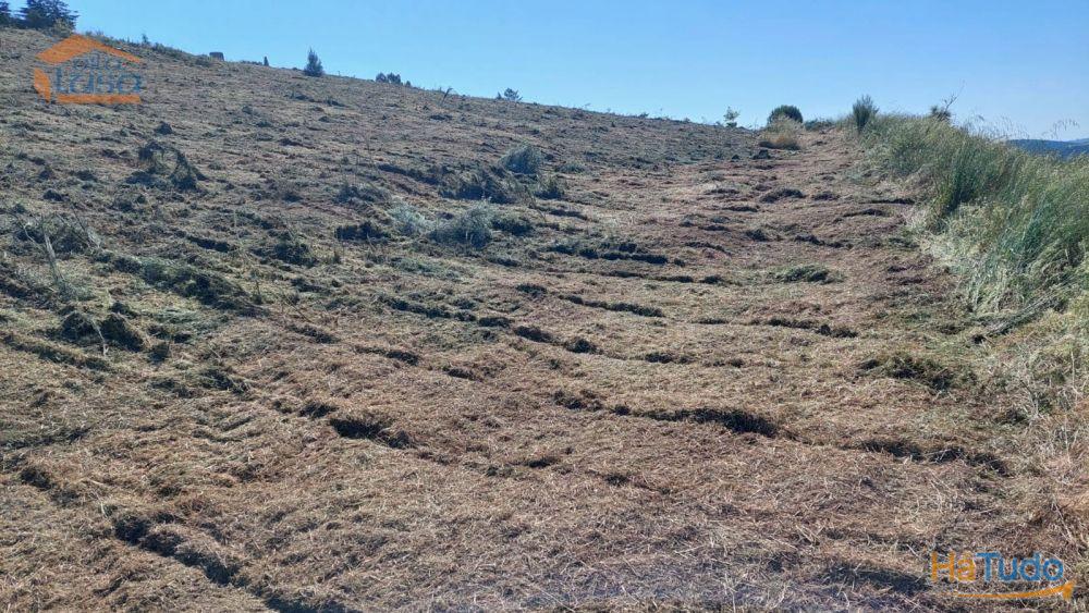 Terreno com paisagem para a Vila Terreno com paisagem para a Vila