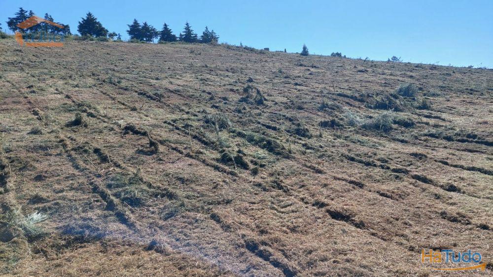 Terreno com paisagem para a Vila Terreno com paisagem para a Vila