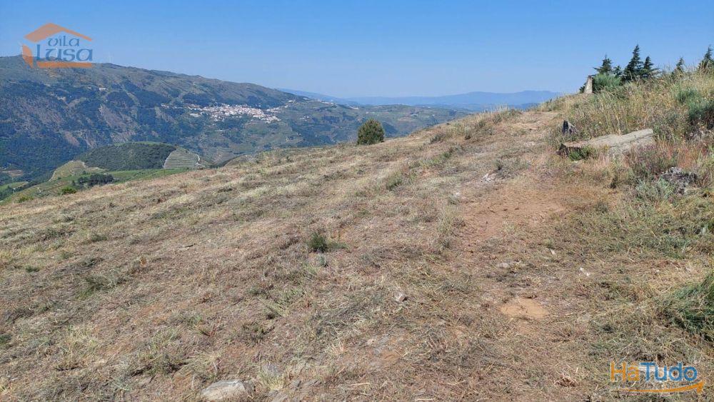 Terreno com paisagem para a Vila Terreno com paisagem para a Vila