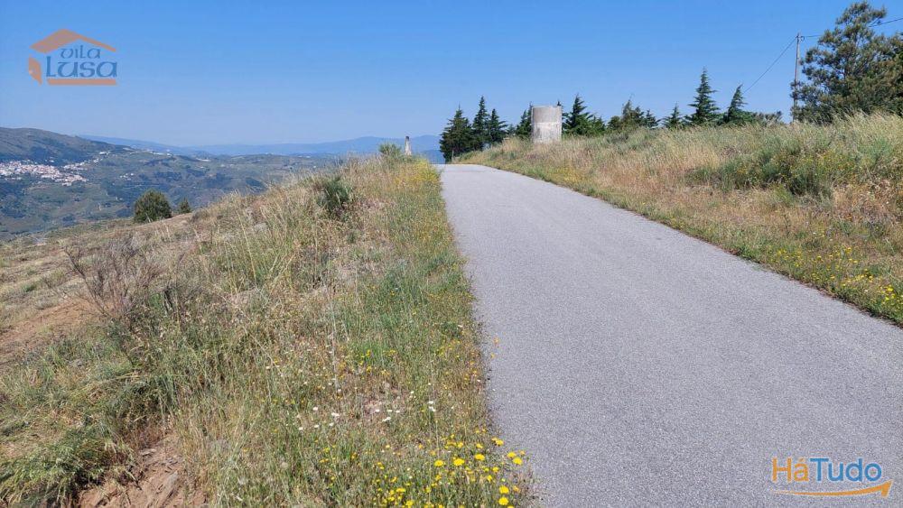 Terreno com paisagem para a Vila Terreno com paisagem para a Vila