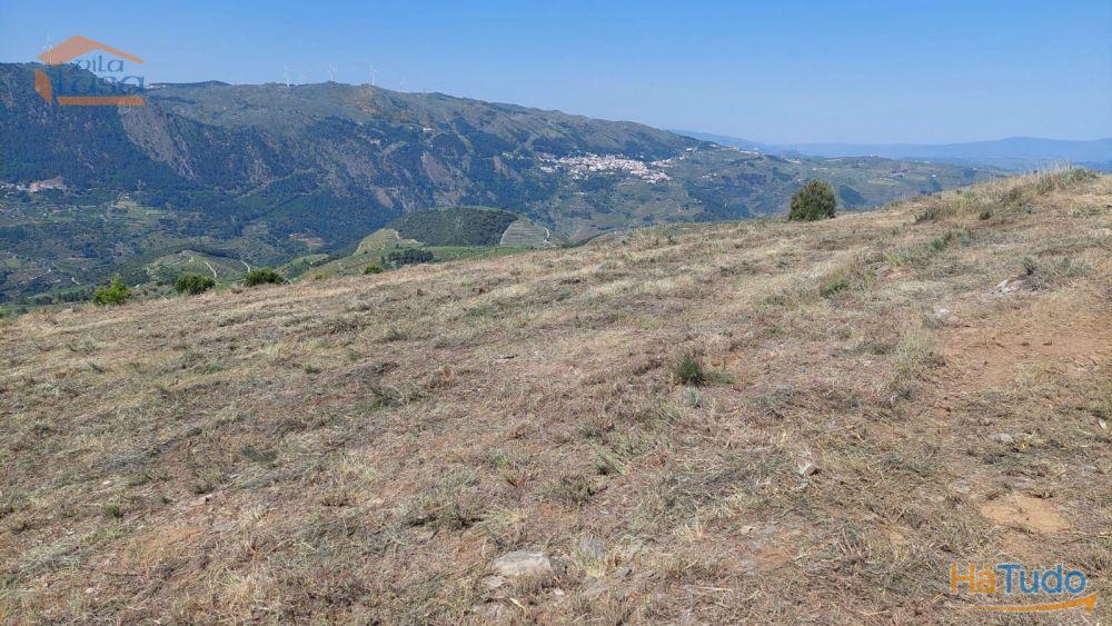 Terreno com paisagem para a Vila Terreno com paisagem para a Vila