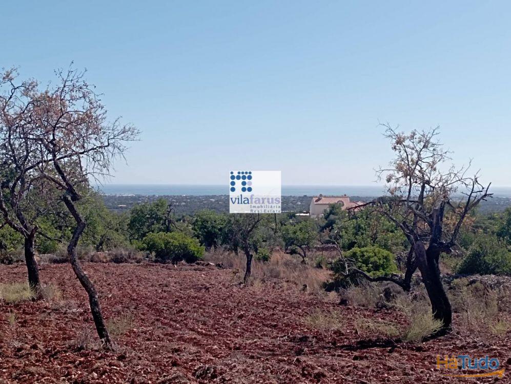 Terreno em Alcaria Cova (Estoi) com 31.280m2 e ruína com 228m2 Terreno em Alcaria Cova (Estoi) com 31.280m2 e ruína com 228m2
