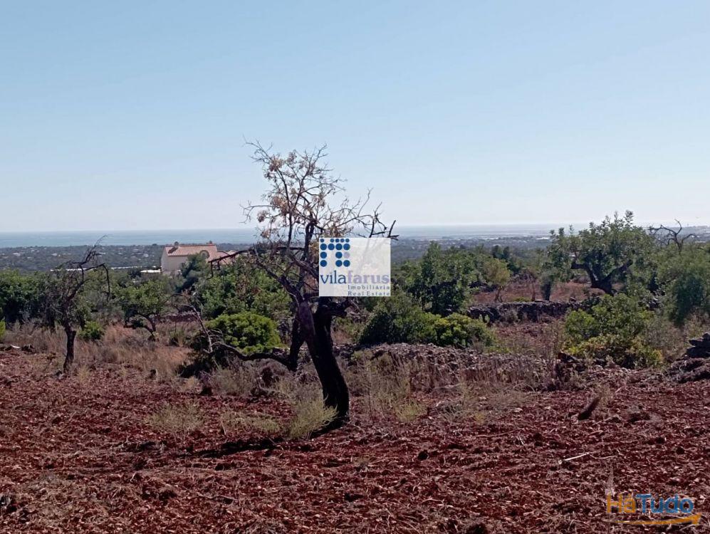 Terreno em Alcaria Cova (Estoi) com 31.280m2 e ruína com 228m2 Terreno em Alcaria Cova (Estoi) com 31.280m2 e ruína com 228m2