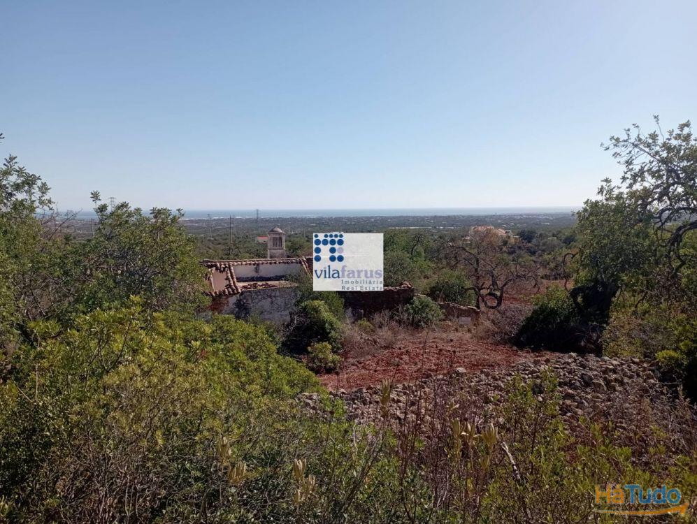 Terreno em Alcaria Cova (Estoi) com 31.280m2 e ruína com 228m2 Terreno em Alcaria Cova (Estoi) com 31.280m2 e ruína com 228m2