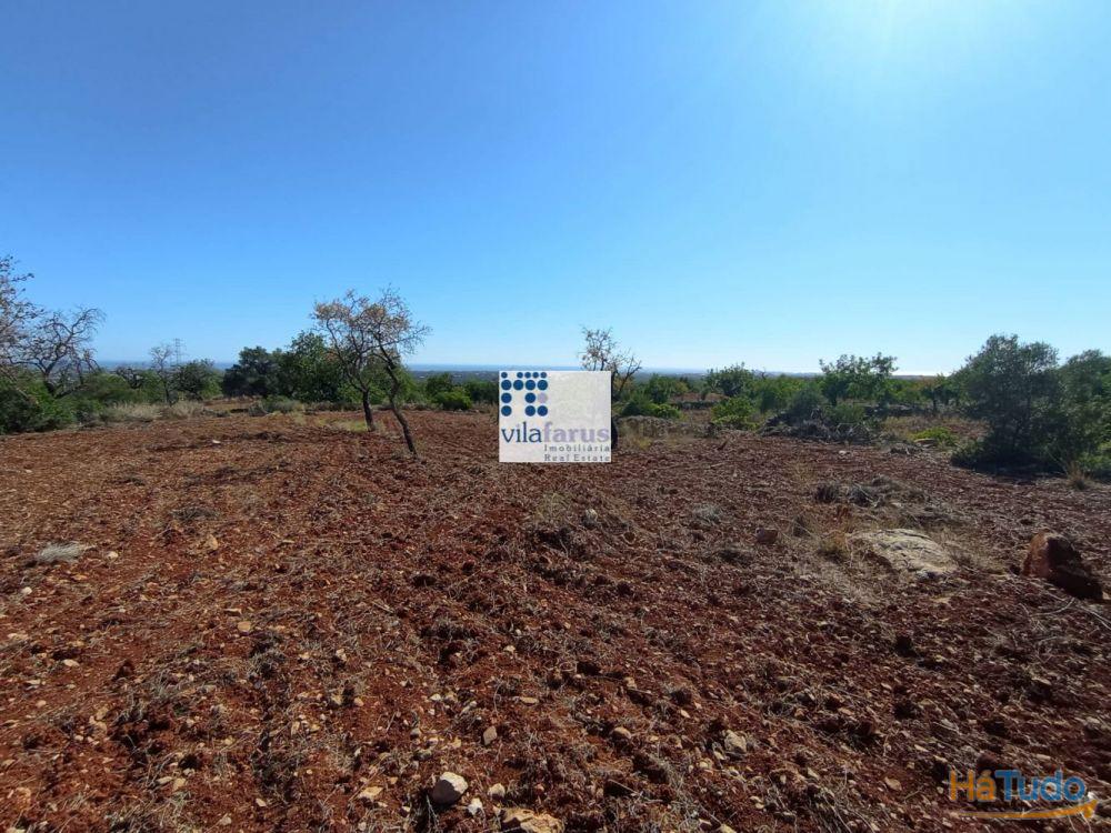 Terreno em Alcaria Cova (Estoi) com 31.280m2 e ruína com 228m2 Terreno em Alcaria Cova (Estoi) com 31.280m2 e ruína com 228m2