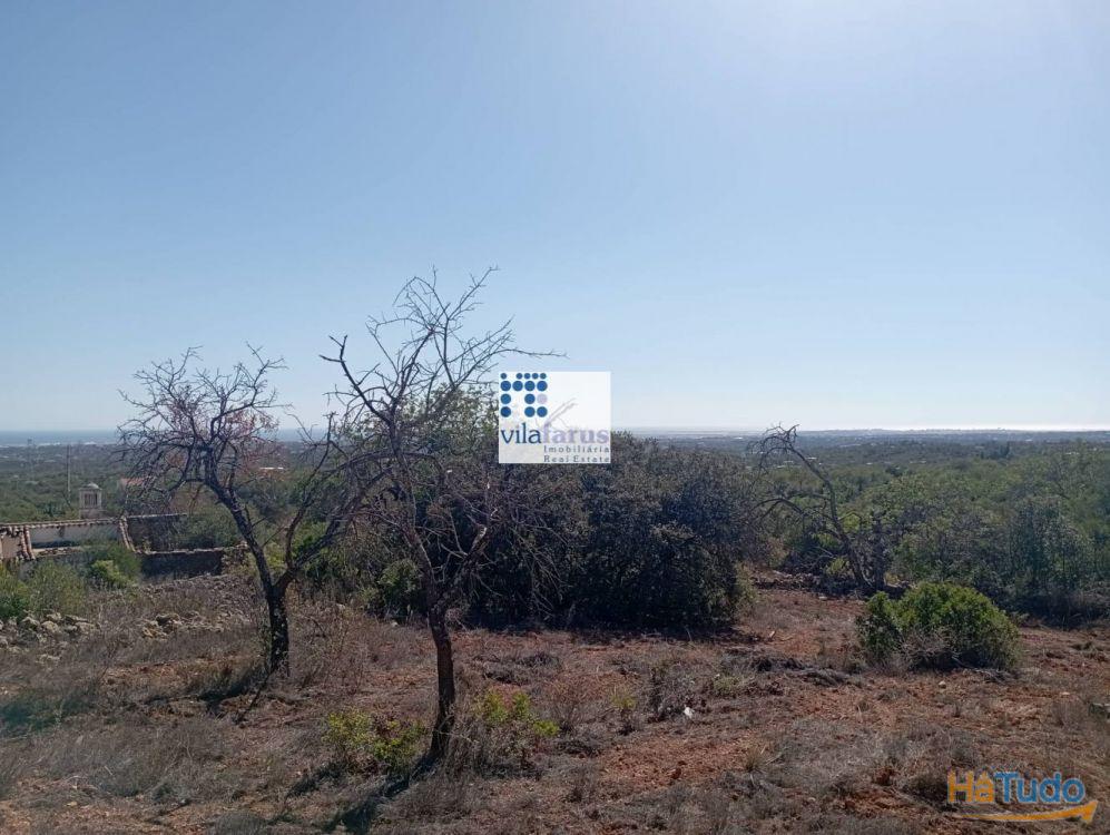 Terreno em Alcaria Cova (Estoi) com 31.280m2 e ruína com 228m2 Terreno em Alcaria Cova (Estoi) com 31.280m2 e ruína com 228m2