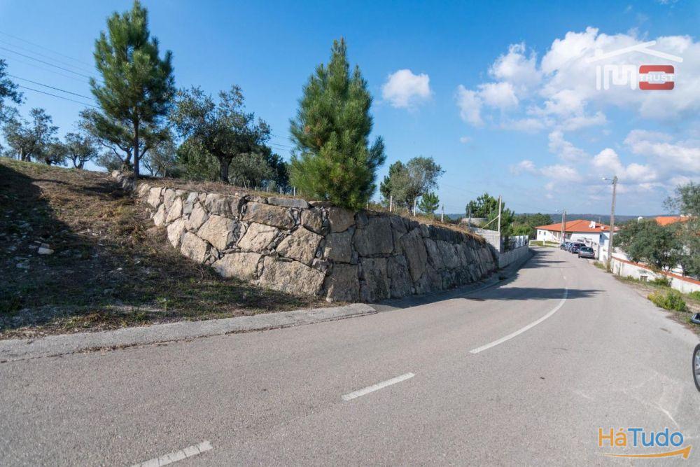 TERRENO DE CULTURA COM OLIVEIRAS EM SOBRAL DA GRANJA TERRENO DE CULTURA COM OLIVEIRAS EM SOBRAL DA GRANJA