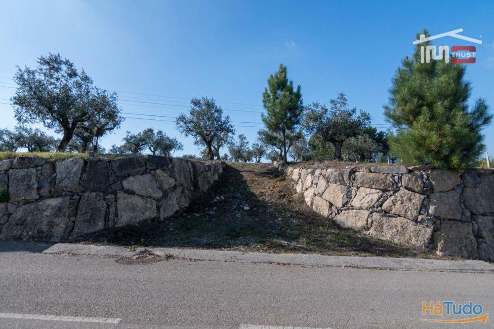 TERRENO DE CULTURA COM OLIVEIRAS EM SOBRAL DA GRANJA TERRENO DE CULTURA COM OLIVEIRAS EM SOBRAL DA GRANJA