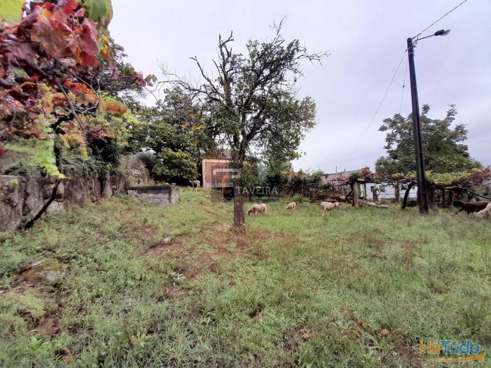 Terreno p/ construção Terreno p/ construção