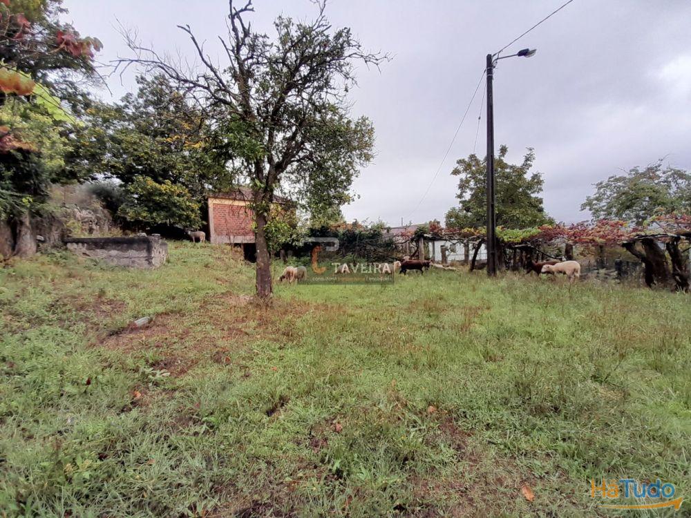 Terreno p/ construção Terreno p/ construção