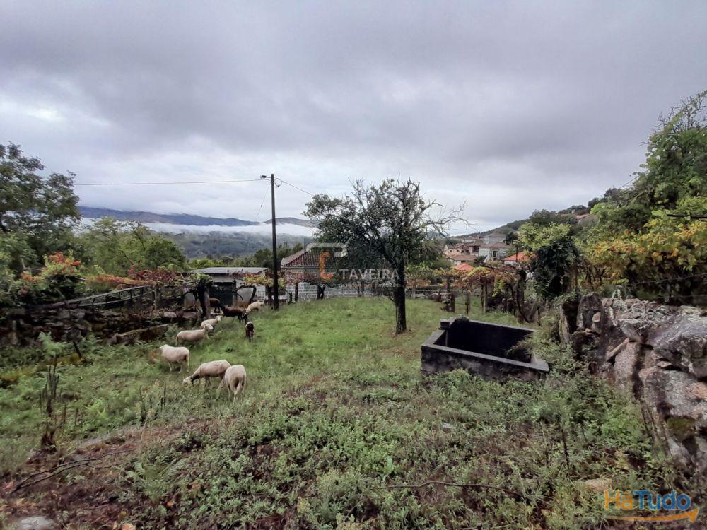 Terreno p/ construção Terreno p/ construção