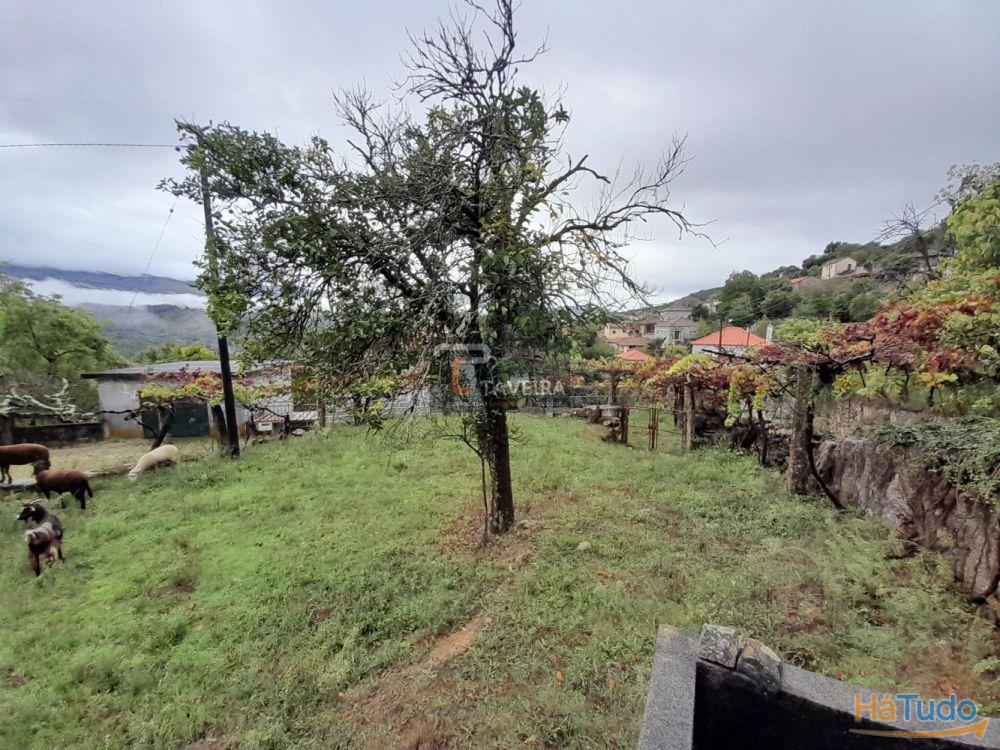 Terreno p/ construção Terreno p/ construção