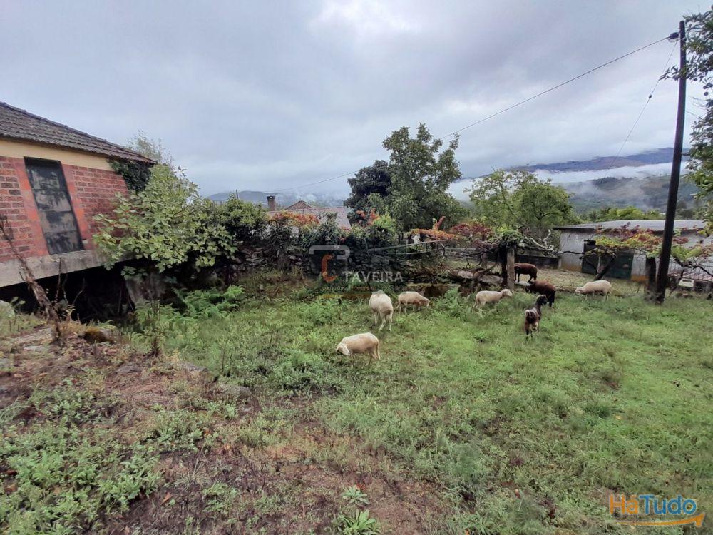 Terreno p/ construção Terreno p/ construção