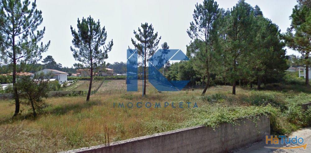 Terreno Rústico com Potencial de Construção ? Valongo do Vouga, Águeda Terreno Rústico com Potencial de Construção ? Valongo do Vouga, Águeda