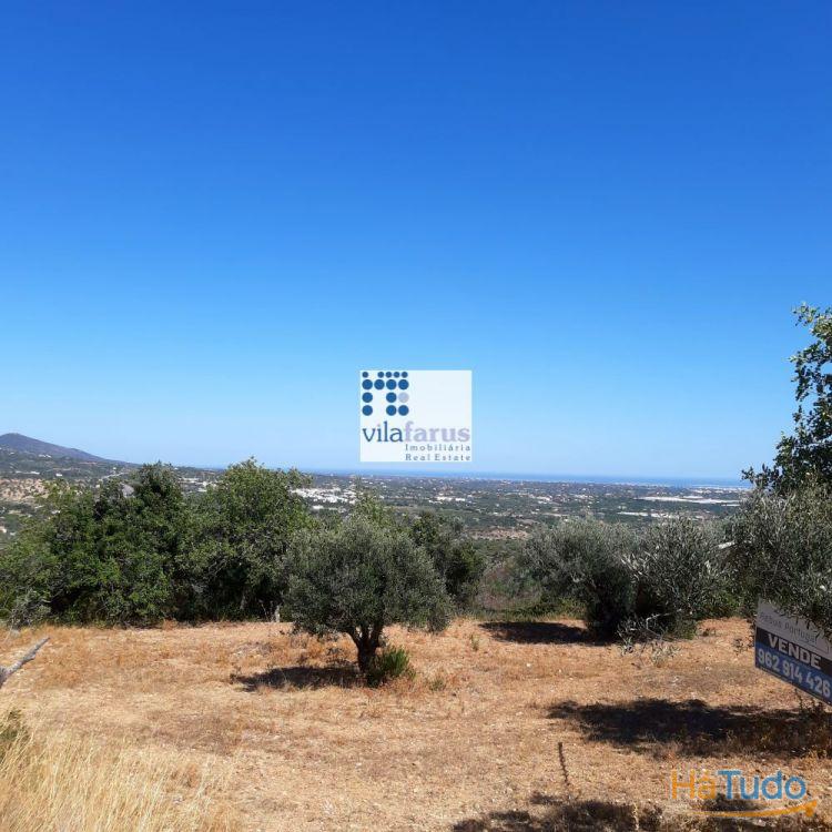 Terreno de 7.895m2 com projecto em análise Terreno de 7.895m2 com projecto em análise