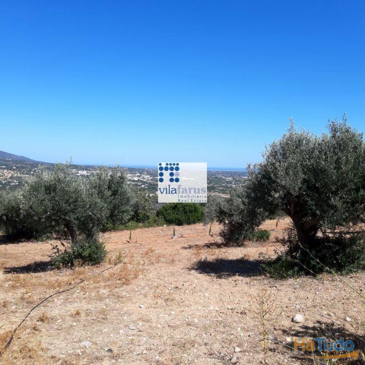 Terreno de 7.895m2 com projecto em análise Terreno de 7.895m2 com projecto em análise