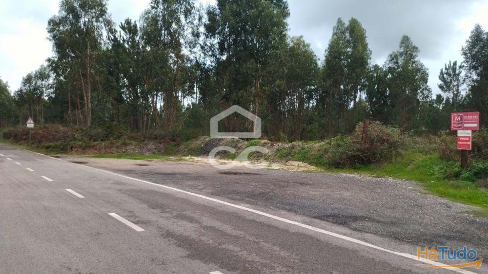 Terreno com viabilidade para construção, com bons acessos. Terreno com viabilidade para construção, com bons acessos.