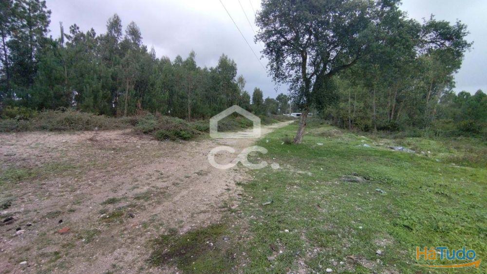 Terreno com viabilidade para construção, com bons acessos. Terreno com viabilidade para construção, com bons acessos.