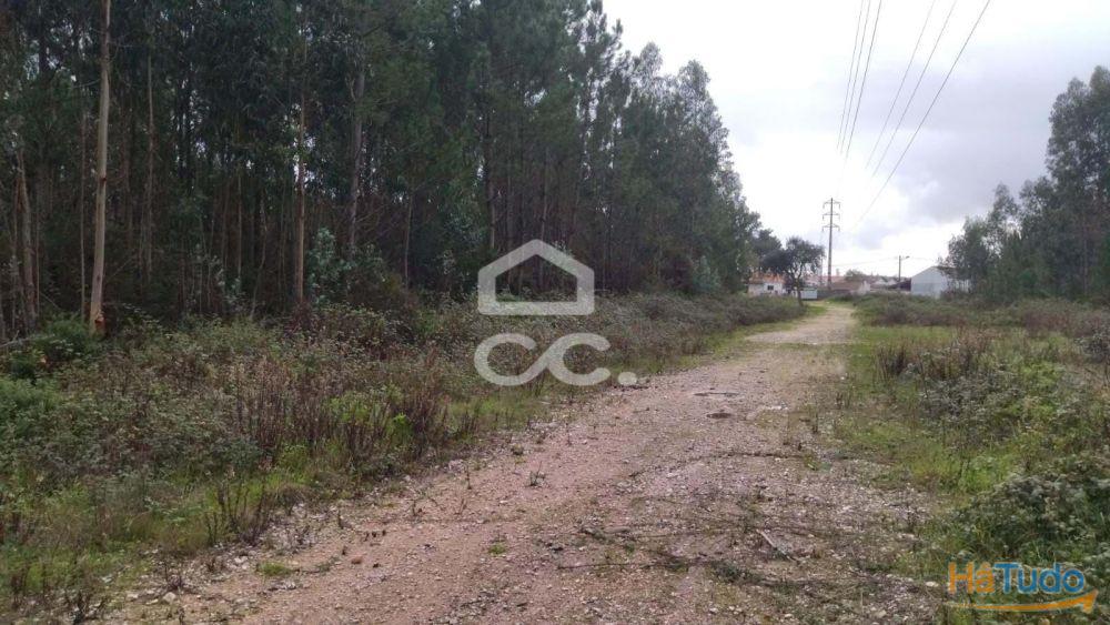 Terreno com viabilidade para construção, com bons acessos. Terreno com viabilidade para construção, com bons acessos.