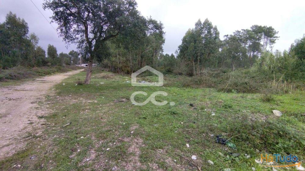 Terreno com viabilidade para construção, com bons acessos. Terreno com viabilidade para construção, com bons acessos.