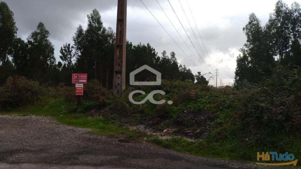 Terreno com viabilidade para construção, com bons acessos. Terreno com viabilidade para construção, com bons acessos.