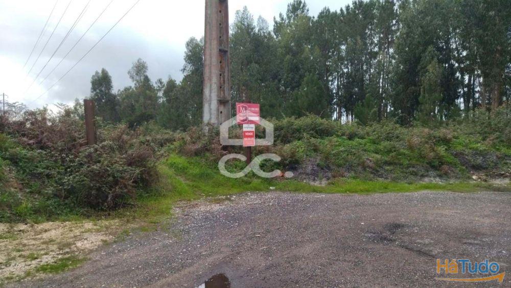 Terreno com viabilidade para construção, com bons acessos. Terreno com viabilidade para construção, com bons acessos.