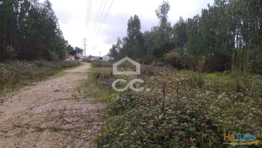 Terreno com viabilidade para construção, com bons acessos. Terreno com viabilidade para construção, com bons acessos.