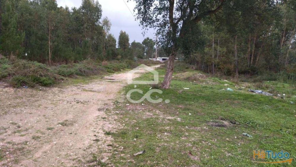 Terreno com viabilidade para construção, com bons acessos. Terreno com viabilidade para construção, com bons acessos.