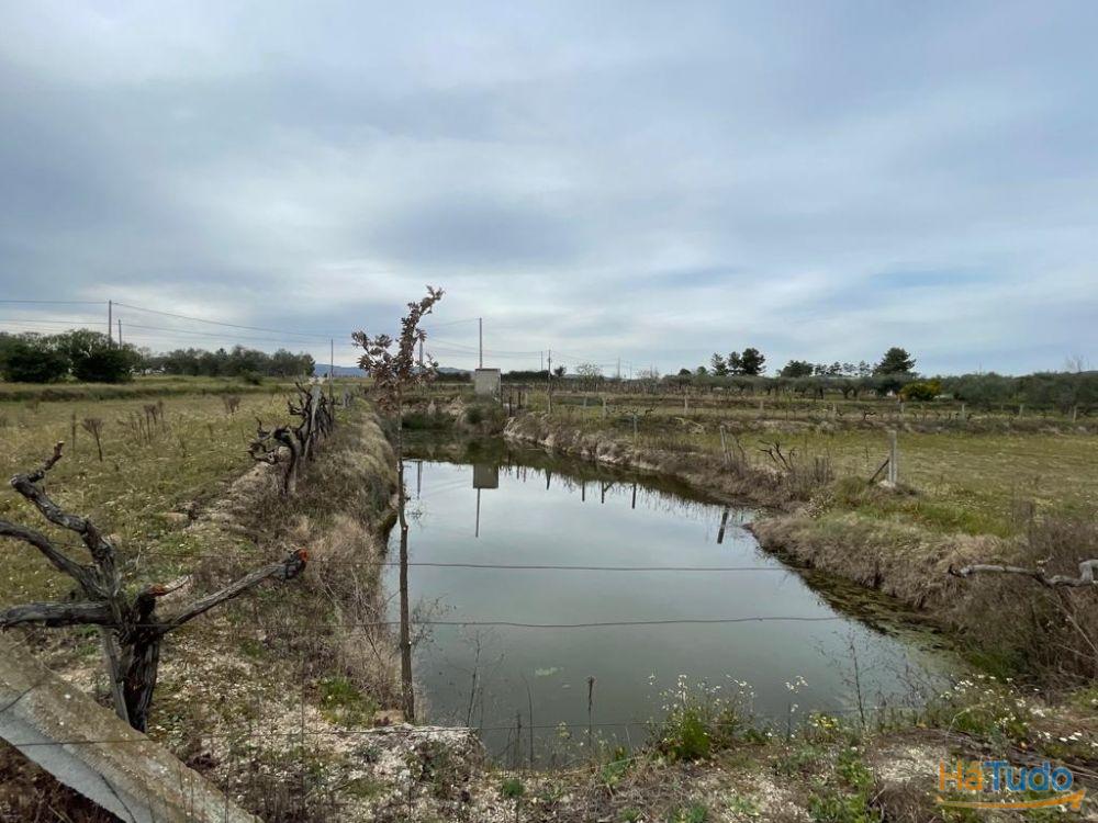 Quinta com 1,77Ha na Orca - Fundão Quinta com 1,77Ha na Orca - Fundão