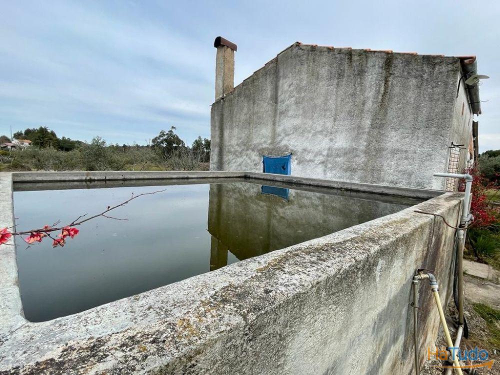 Quinta com 1,77Ha na Orca - Fundão Quinta com 1,77Ha na Orca - Fundão