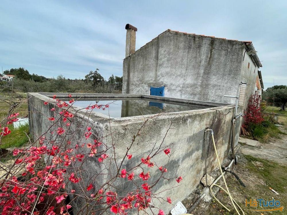 Quinta com 1,77Ha na Orca - Fundão Quinta com 1,77Ha na Orca - Fundão