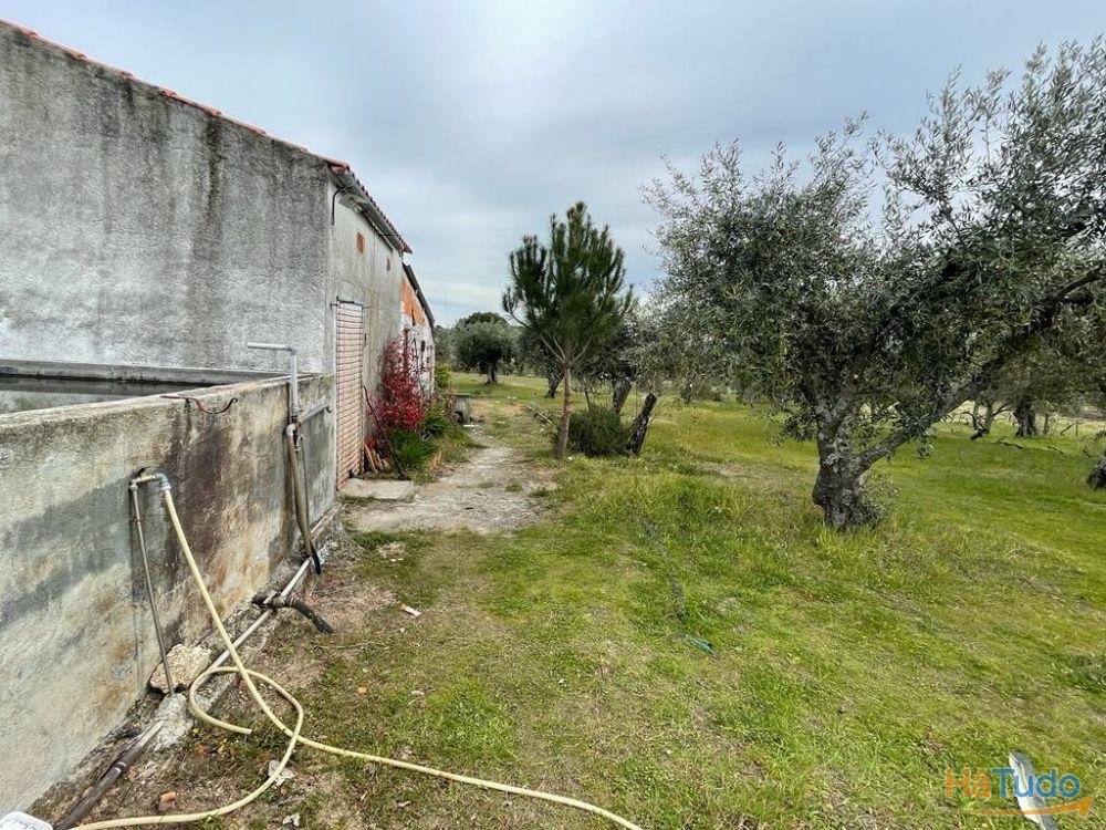 Quinta com 1,77Ha na Orca - Fundão Quinta com 1,77Ha na Orca - Fundão