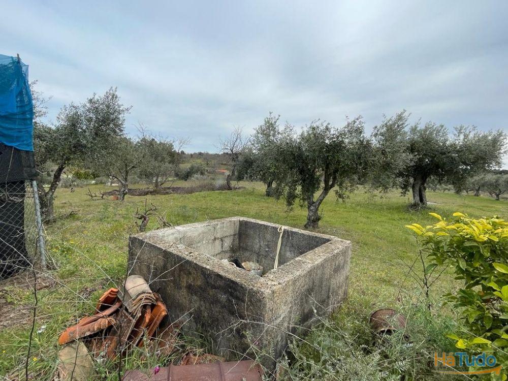 Quinta com 1,77Ha na Orca - Fundão Quinta com 1,77Ha na Orca - Fundão