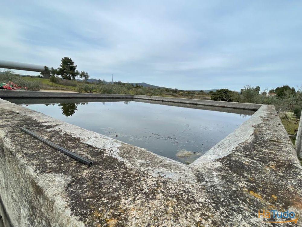 Quinta com 1,77Ha na Orca - Fundão Quinta com 1,77Ha na Orca - Fundão