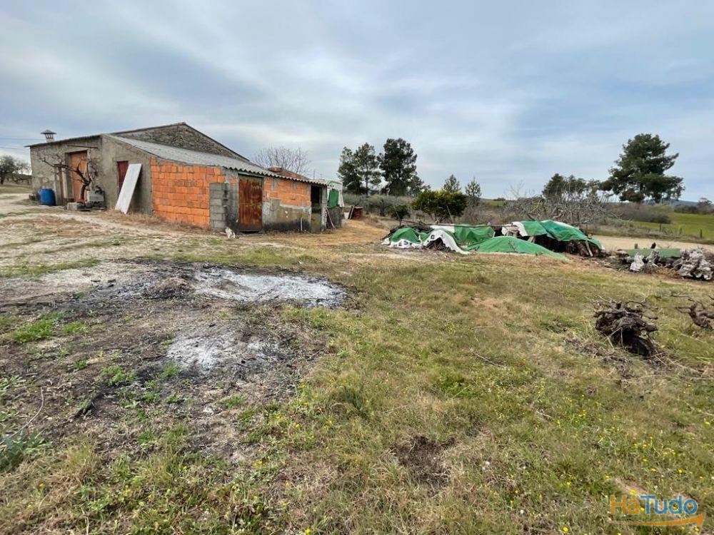 Quinta com 1,77Ha na Orca - Fundão Quinta com 1,77Ha na Orca - Fundão