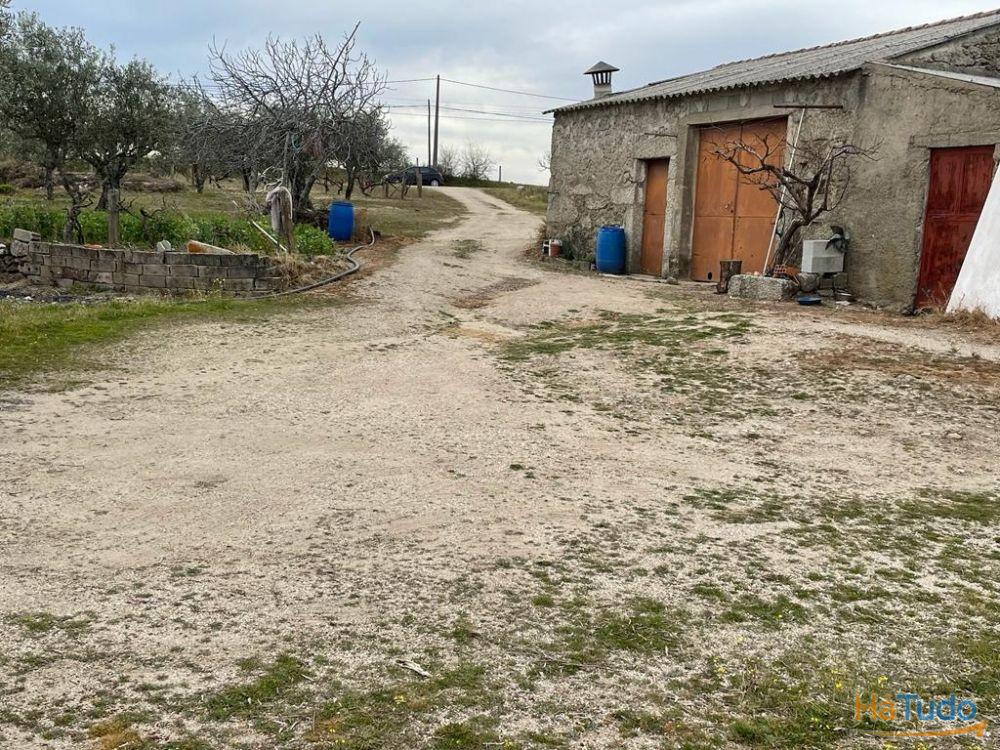 Quinta com 1,77Ha na Orca - Fundão Quinta com 1,77Ha na Orca - Fundão