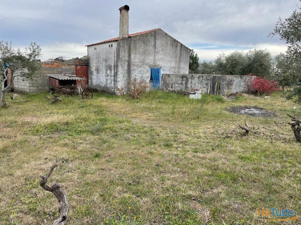 Quinta com 1,77Ha na Orca - Fundão Quinta com 1,77Ha na Orca - Fundão