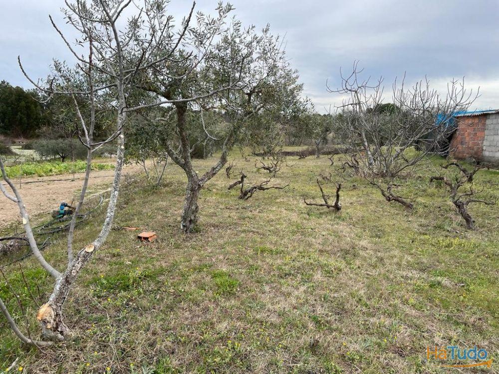 Quinta com 1,77Ha na Orca - Fundão Quinta com 1,77Ha na Orca - Fundão