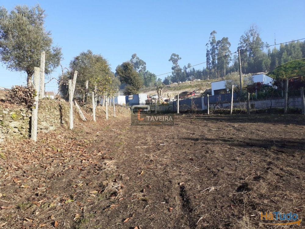 Terreno p/ construção Terreno p/ construção