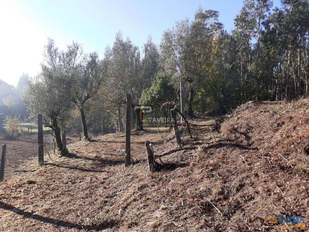 Terreno p/ construção Terreno p/ construção