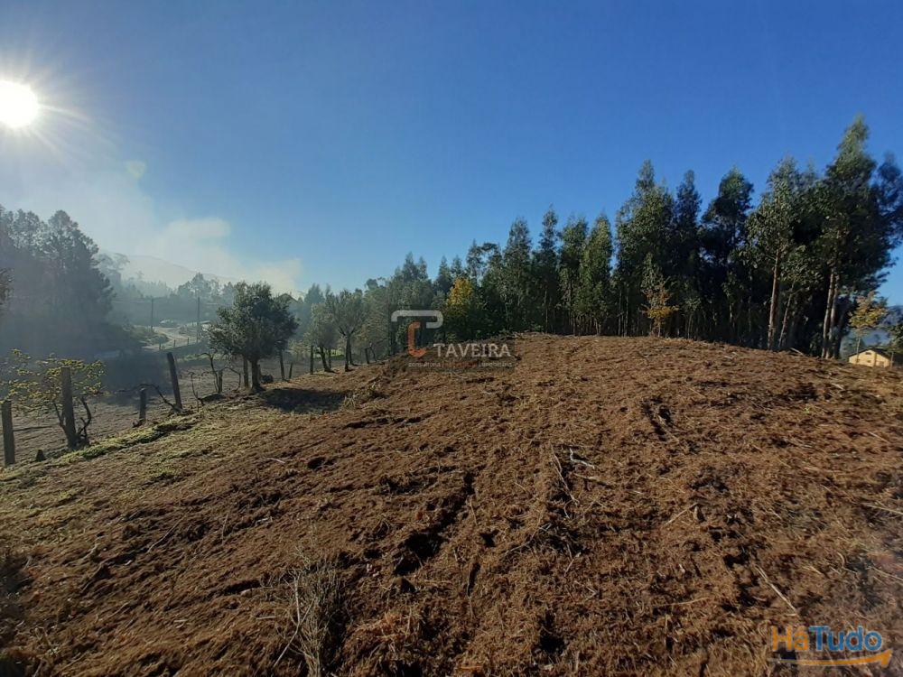 Terreno p/ construção Terreno p/ construção