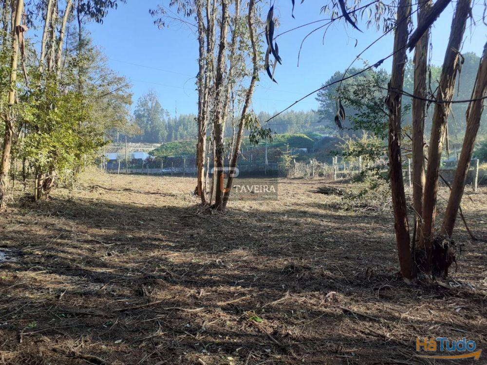 Terreno p/ construção Terreno p/ construção